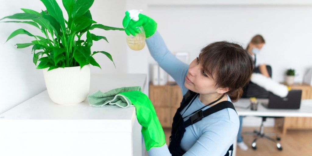 organic cleaning products